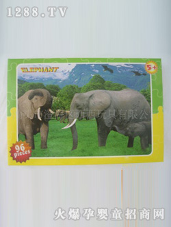 ��������ƴ�D