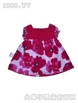 ��ʿ��t��yinge�B��ȹ