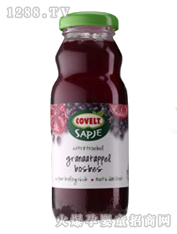 ��(sh��)ݮ��ݮ�t���ЙC(j��)˼Ľ