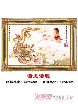 ������������F(xi��n)̥ë��(hu��)