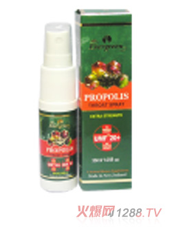 Evergreen���z����