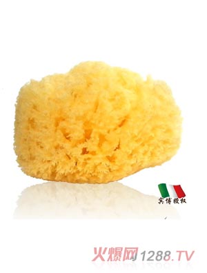 ��ɭ�Ơ�������ԡ���庣��AW18���\ɫ��