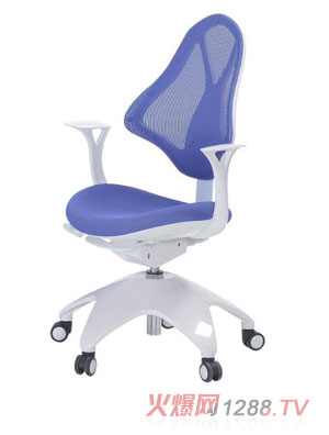 博士有成健康多功能學習椅