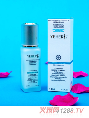 �t(y��)�Ǽt���������o���A��