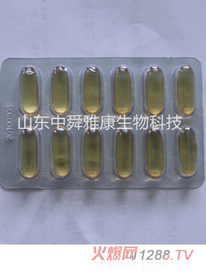 ������~(y��)��ܛ�z��12��