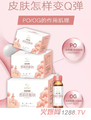 �w�����͸���|���c