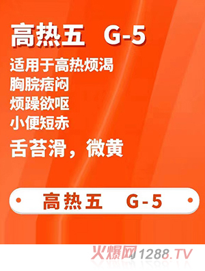 һ�Ա��ݱ����N-�ߟ���G-5