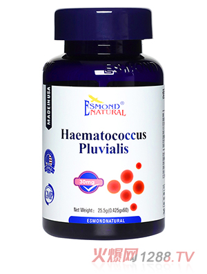 ��˾���������t���壨���z�ǹ���