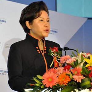 特邀嘉賓:孟曉駟